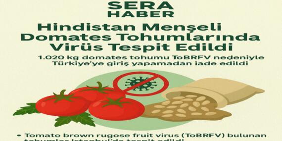 Hindistan Menşeli Domates Tohumlarında Virüs Tespit Edildi