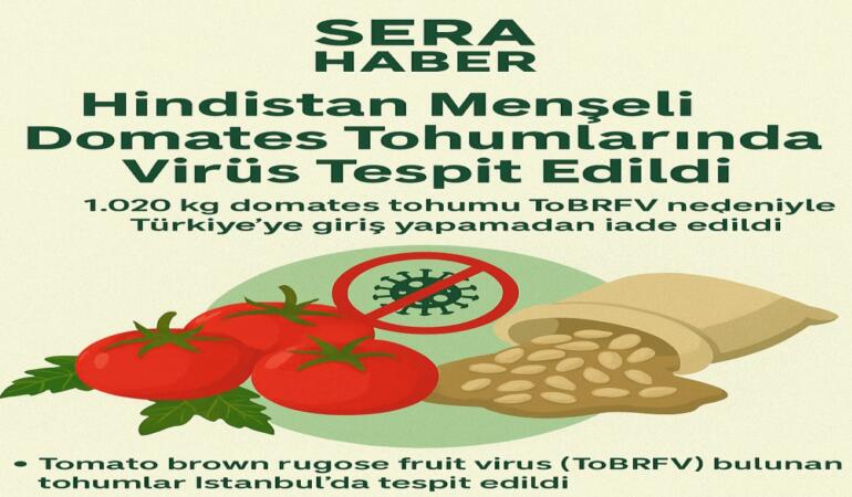 Hindistan Menşeli Domates Tohumlarında Virüs Tespit Edildi