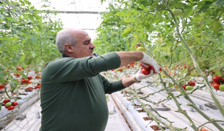 Aziziye Termal Seralarında Yeni Dönem Başladı