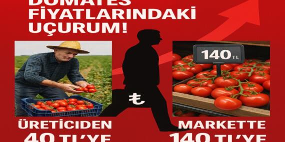 Domates Fiyatlarındaki Uçurum Tepki Çekiyor