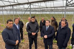 erzincan_erbaa_fide_serası