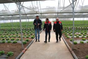 erzincan_tarım_sera