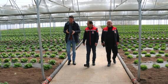 Erzincan Seralarında Yılda Üç Ürün Alınıyor