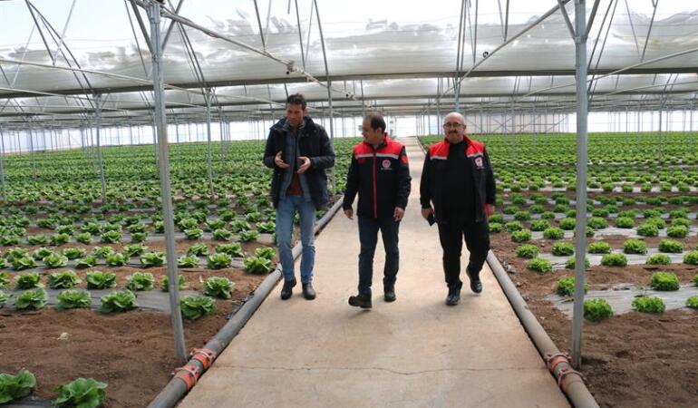 Erzincan Seralarında Yılda Üç Ürün Alınıyor