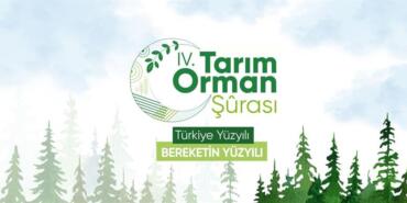 IV_orman_surasi
