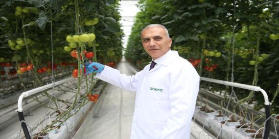 Alarko Tarım Grubu’ndan Türkiye’nin En Büyük Modern Serası