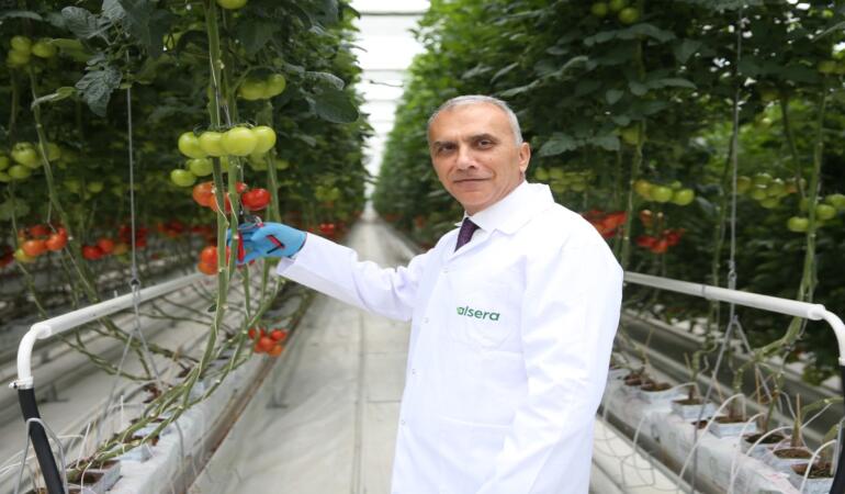 Alarko Tarım Grubu’ndan Türkiye’nin En Büyük Modern Serası