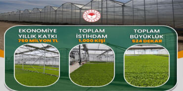Zonguldak_Caycuma_Sera