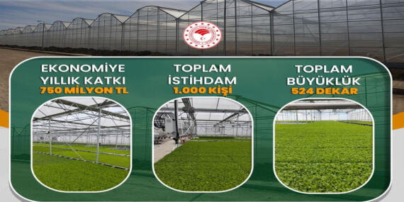 Çaycuma Sera OTB’de Üretim Başladı
