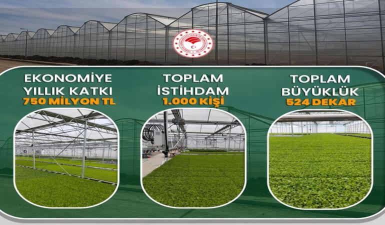 Çaycuma Sera OTB’de Üretim Başladı