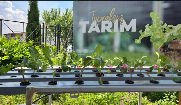Fatih Belediyesi Sayesinde Topraksız Tarım Şehirle Buluştu