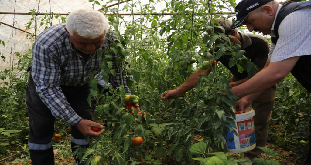 Kocaeli Belediyesi Yüzde 50 Hibe Desteği Başladı