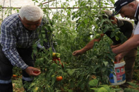 Kocaeli Belediyesi Yüzde 50 Hibe Desteği Başladı