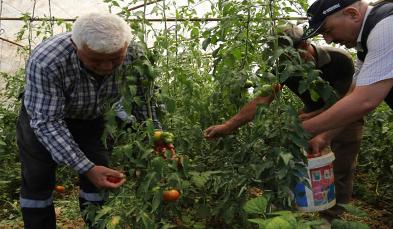 Kocaeli Büyükşehir’den Modern Sera Desteği