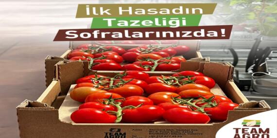 Team Agro’dan İlk Hasat Heyecanı