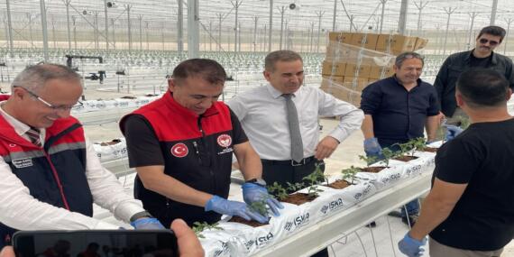 Ankon Enerji’nin Yeni Serasında Fide Dikimi Başladı