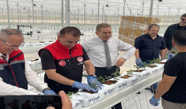 Ankon Enerji’nin Yeni Serasında Fide Dikimi Başladı