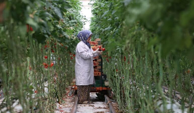 Manisa Zirvesi’nde Jeotermal Seracılığın Önemi