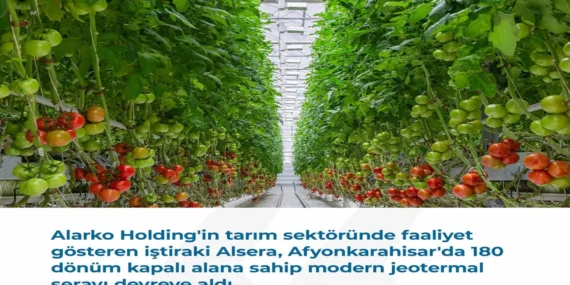 Alsera’dan Afyonkarahisar’a 180 Dönümlük Jeotermal Sera Yatırımı