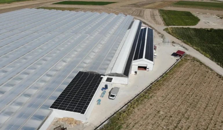 Karya Doğal Tarım ve Seracılık, Artık Altun Gıda Bünyesinde