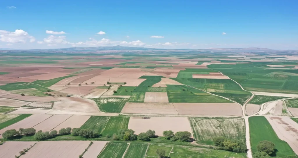 Kayseri Sera OSB