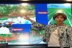 Recep Tayyip Erdoğan Üniversitesi topraksiz tarım semineri