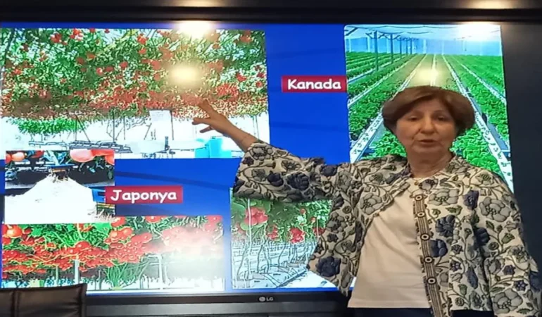 Topraksız Tarım Seminerine Rize’de Yoğun İlgi