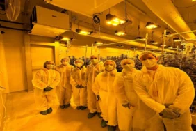 tigo tarim makedonya kenevir ziyareti