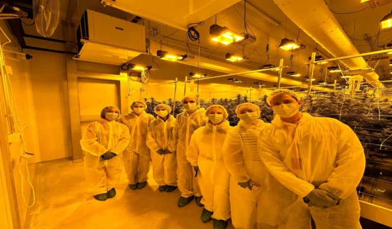 Medikal Kenevir Yatırımlarına Stratejik Ziyaret