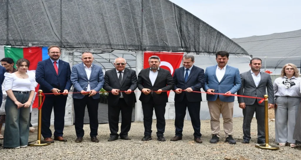 TİKA, Azerbaycan’da Narenciye ve Çay Seraları Kurdu