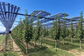 MCT_MEtal_AgroPV_Sistemleri