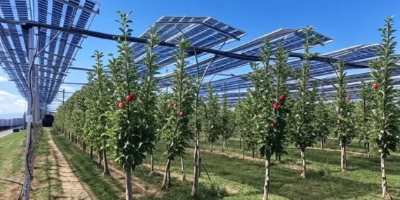AgroPV Sistemleriyle Tarım Arazilerinde Çift Üretim Dönemi Başladı
