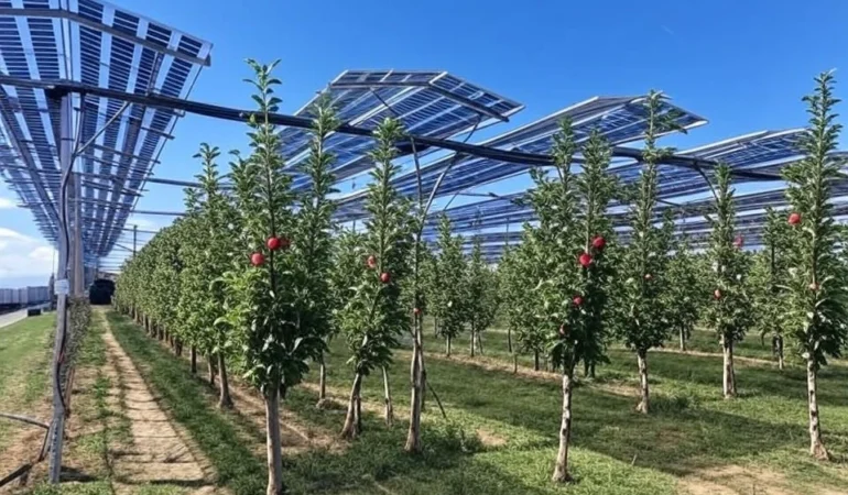 AgroPV Sistemleriyle Tarım Arazilerinde Çift Üretim Dönemi Başladı