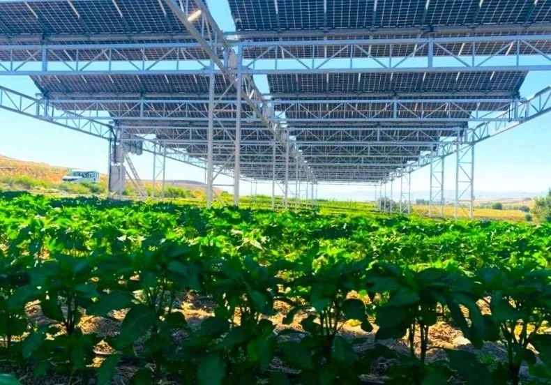 MCT_MEtal_AgroPV_Sistemleri2