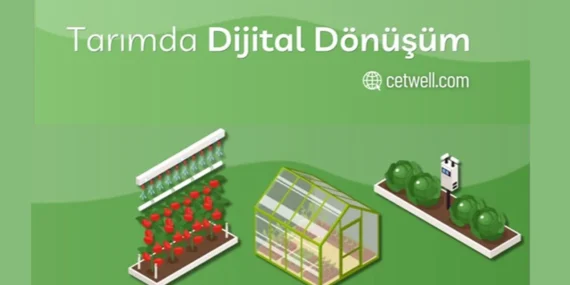 Adana’da 20 Dönümlük Modern Çilek Serası Yükseliyor