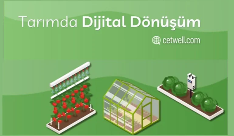 Adana’da 20 Dönümlük Modern Çilek Serası Yükseliyor