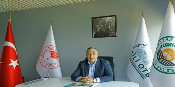 Dünya Bankası’ndan Dikili OTB’ye 65 Milyon Dolarlık Dev Destek