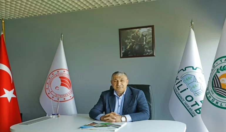 Dünya Bankası’ndan Dikili OTB’ye 65 Milyon Dolarlık Dev Destek