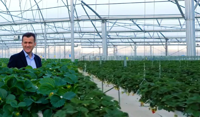 Forte Teknoloji’den Kıbrıs’ta 19.440 m²’lik Çilek Serası