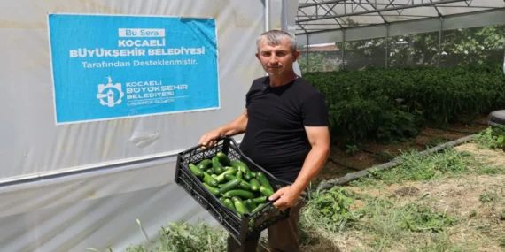 Kocaeli’de Modern Seralarla Tarımsal Verimlilik Zirvede