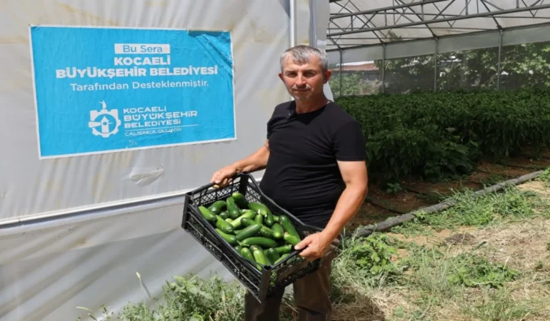 Kocaeli’de Modern Seralarla Tarımsal Verimlilik Zirvede