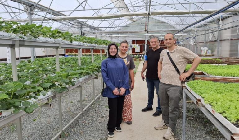 Trabzon’da Hasat Öncesi Seralarda Pestisit Denetimi ve Üretici Eğitimi