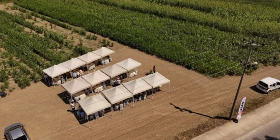 ASAŞ Yeşil Enerji’den Tarla Tanıtım Günü