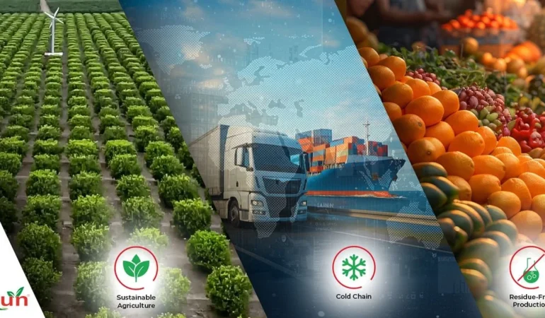 Altun Gıda, Avrupa’ya Kesintisiz Tedarik Güvencesi Sunuyor