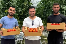 ankon_sera_konya_meram