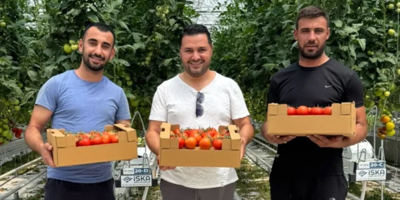 Ankon Sera’da İlk Hasat Gerçekleşti