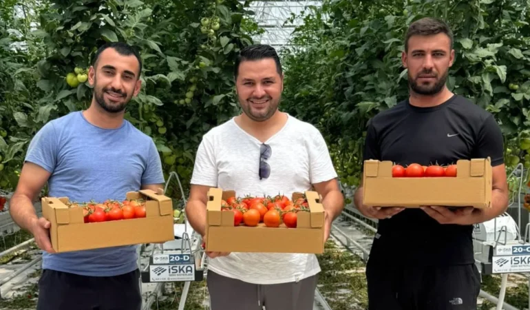 Ankon Sera’da İlk Hasat Gerçekleşti