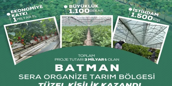 Batman Sera OTB ile 30 Bin Ton Sebze Üretimi