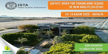 yuksel_tohum_ista_calistay