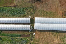 Kocaeli Büyükşehir Belediyesi_sera_destegi3